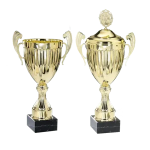 Pokal Queenstown