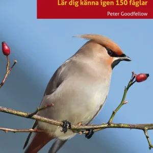 Fågelguiden : lär dig känna igen 150 fåglar